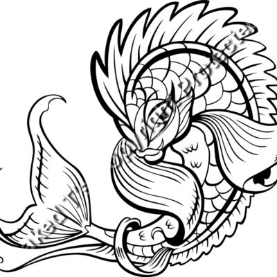 ES3asiankoi06BW Thumbnail