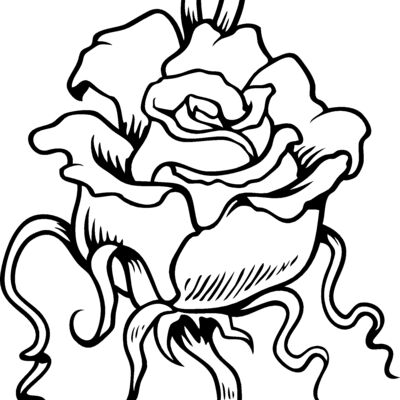 ES3flower06bw Thumbnail