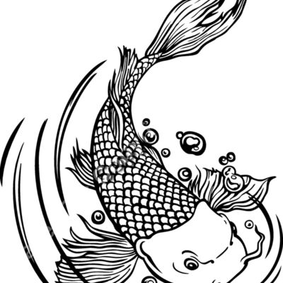 ES3asiankoi01bw Thumbnail