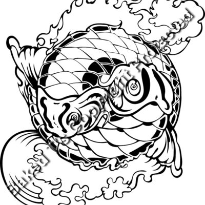 ES3asiankoi05bw Thumbnail