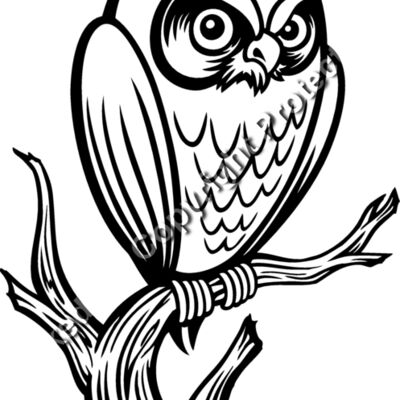 ES3owl01bw Thumbnail