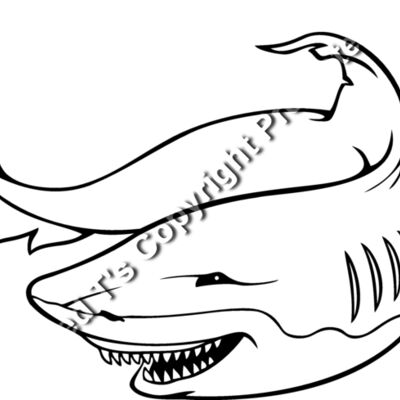 es3shark02bw Thumbnail