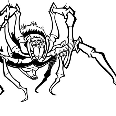 ES3spider05BW Thumbnail