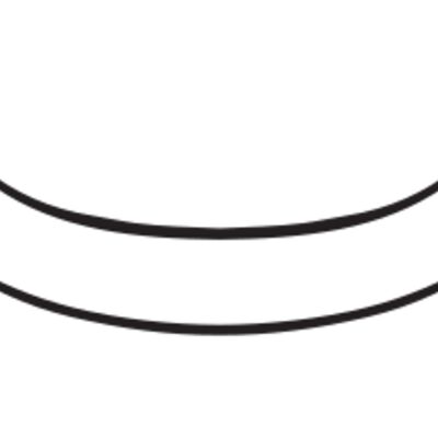 ES3scroll05bw Thumbnail