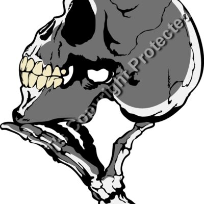 ES3bones05clr Thumbnail