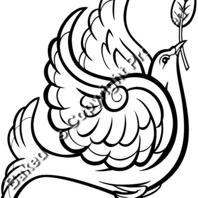 ES3dove02BW Thumbnail