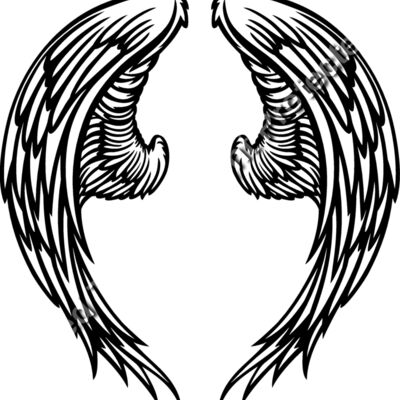 ES3wing06bw Thumbnail