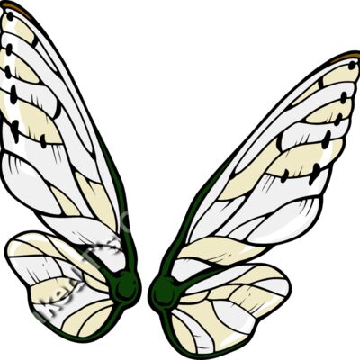 ES3wing04clr Thumbnail