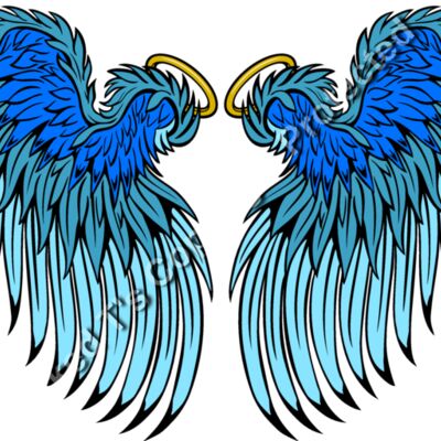 ES3wing25clr Thumbnail