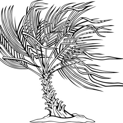 ES3tree12BW Thumbnail