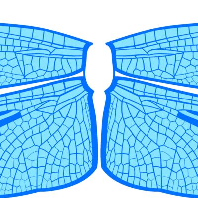 ES3wing14clr Thumbnail