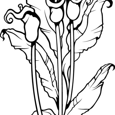 ES3flower07bw Thumbnail