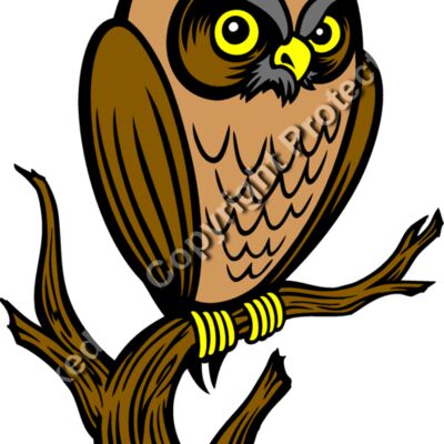 ES3owl01clr Thumbnail