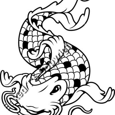 es3asiankoi09bw Thumbnail