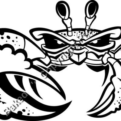 ES3fiddlercrab01BW Thumbnail