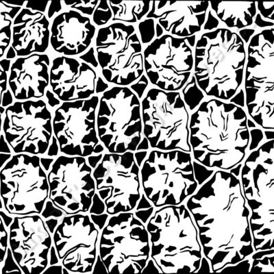 ES3texture06BW Thumbnail