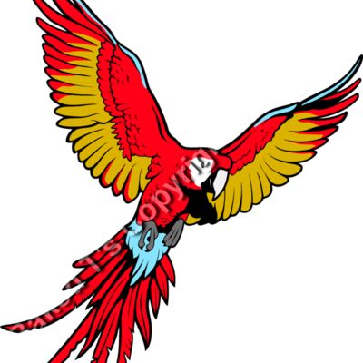 ES3parrot01clr Thumbnail