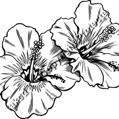 ES3tropical02bw Thumbnail