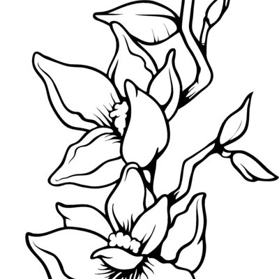 ES3flower05bw Thumbnail