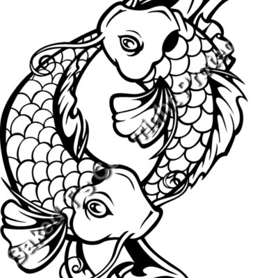 ES3asiankoi04bw Thumbnail