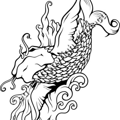 ES3asiankoi08bw Thumbnail