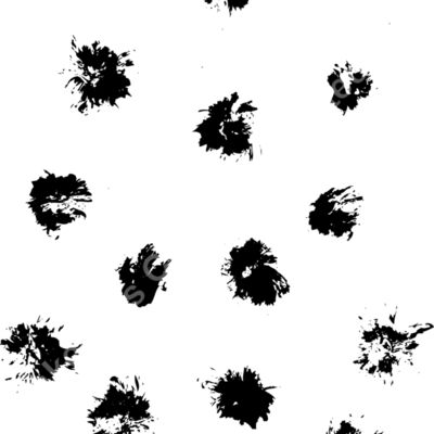 ES3splat01bw Thumbnail