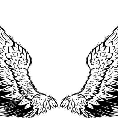 ES3wing10BW Thumbnail