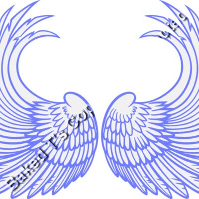 ES3wing03clr Thumbnail