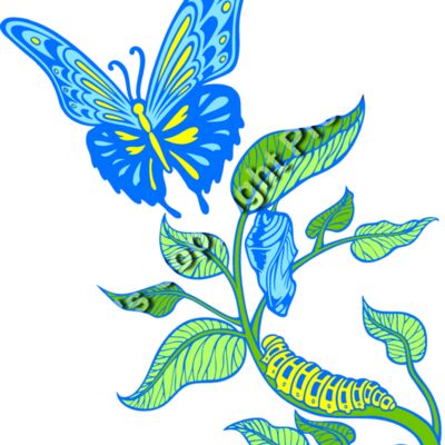 ES3butterfly05clr Thumbnail