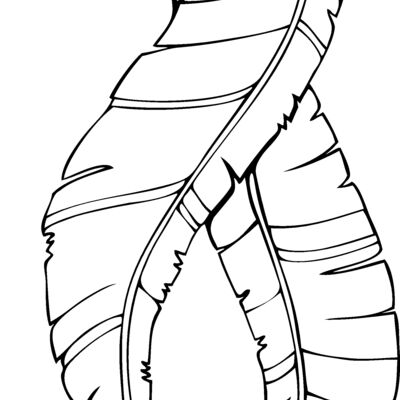 es3feathers02bw Thumbnail