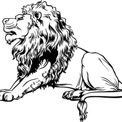 ES3lion01bw Thumbnail