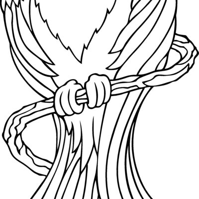 es3parrot03bw Thumbnail