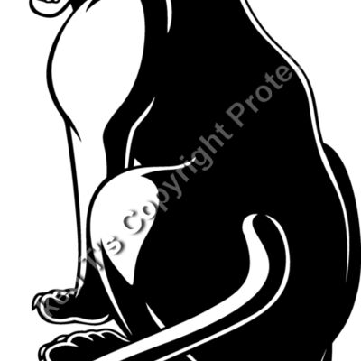 es3panther04bw Thumbnail