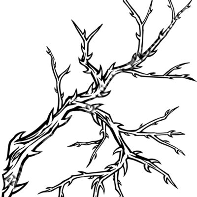 ES3thorns01bw Thumbnail