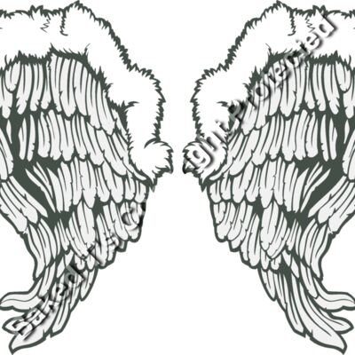 ES3wing26clr Thumbnail