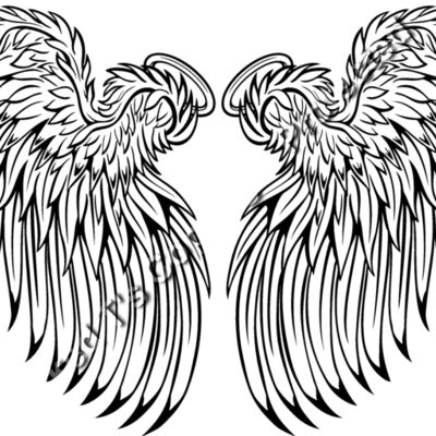 ES3wing25BW Thumbnail