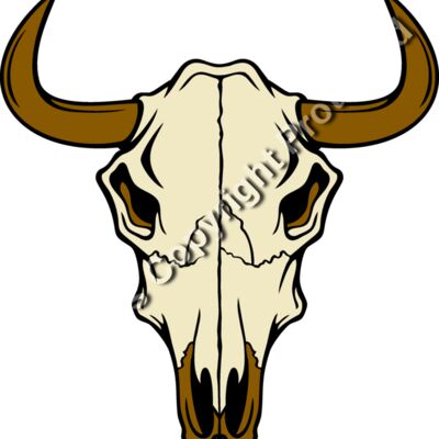 es3skull23clr Thumbnail