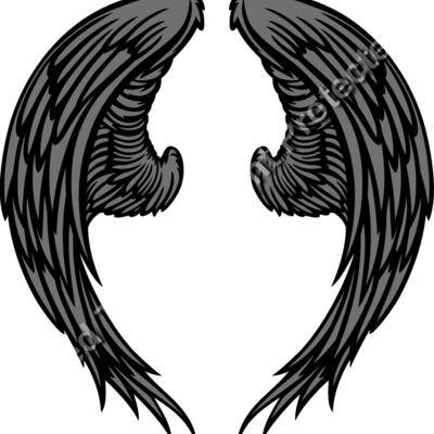 ES3wing06clr Thumbnail