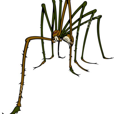 ES3spider02clr Thumbnail