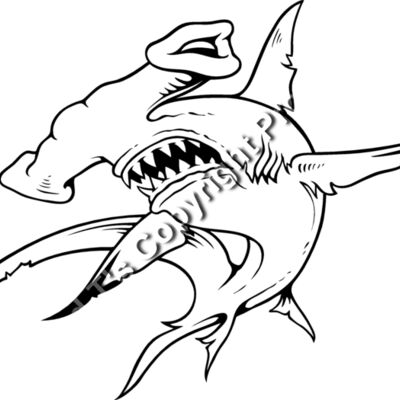 ES3shark01bw Thumbnail