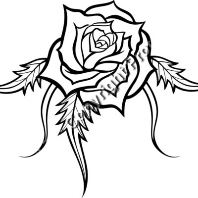 ES3rose03BW Thumbnail