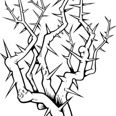 ES3thorns02bw Thumbnail