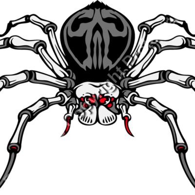 es3spider04clr Thumbnail