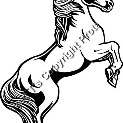 ES3horse02bw Thumbnail