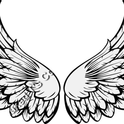 ES3wing15clr Thumbnail