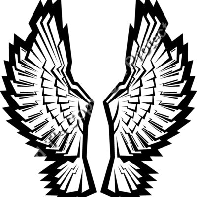 ES3wing12bw Thumbnail