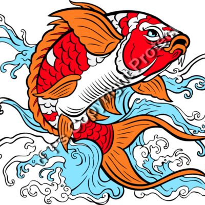 ES3asiankoi03clr Thumbnail