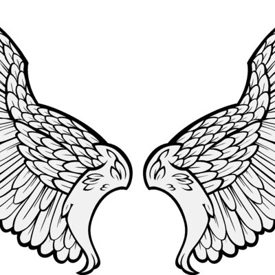 ES3wing11clr Thumbnail