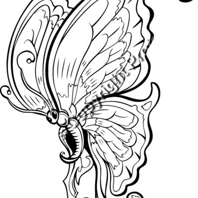 ES3butterfly03BW Thumbnail