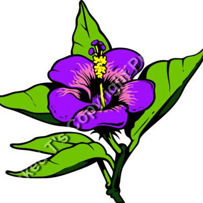 ES3tropical01clr Thumbnail